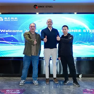 Mexickí zákazníci Navštívte GNEE STEEL